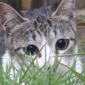 Meet your Posher, Jillian